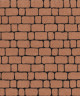 Тротуарная плитка АРЕНА (Б.1.АР.6) Стандарт Оранжевый