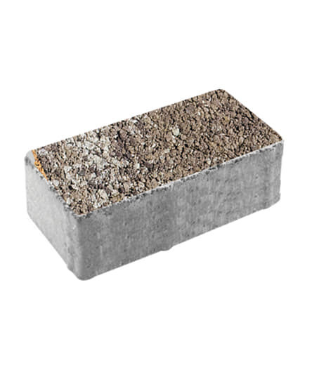 Тротуарная плитка ПРЯМОУГОЛЬНИК (Б.5.П.8) Листопад гранит Хаски