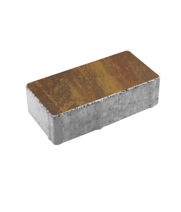 Тротуарная плитка ПРЯМОУГОЛЬНИК (А.2.П.4) Листопад гладкий Осень