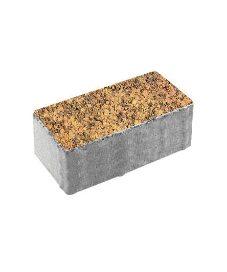 Тротуарная плитка ПРЯМОУГОЛЬНИК (В.2.П.10) Листопад гранит Саванна