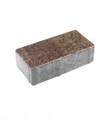 Тротуарная плитка ПРЯМОУГОЛЬНИК (А.2.П.4) Листопад гранит Шелковица