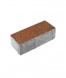 Тротуарная плитка ПРЯМОУГОЛЬНИК (Б.3.П.6) Листопад гладкий Арабская ночь