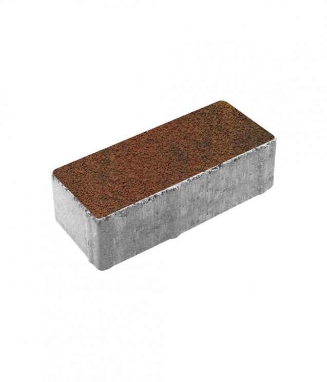 Тротуарная плитка ПРЯМОУГОЛЬНИК (Б.3.П.6) Листопад гранит Арабская ночь